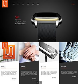 HTML5網(wǎng)站建設案例